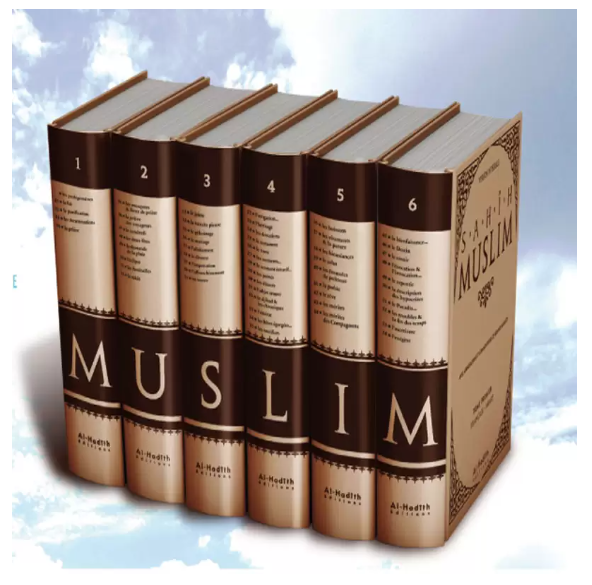 Sahih Muslim arabe-français 6 tomes